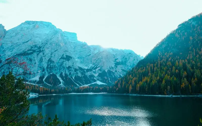 创意创新先进